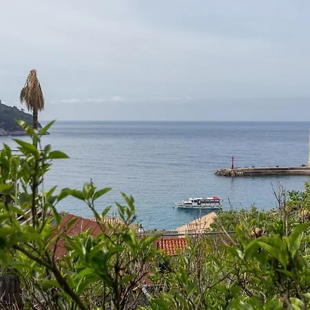 게스트하우스 아파트먼트 칼라스 3*